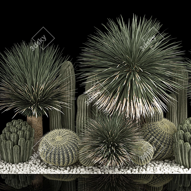 Desert Plant Set for Landscaping with Yucca, Dracaena, Cactus 3D model image 3