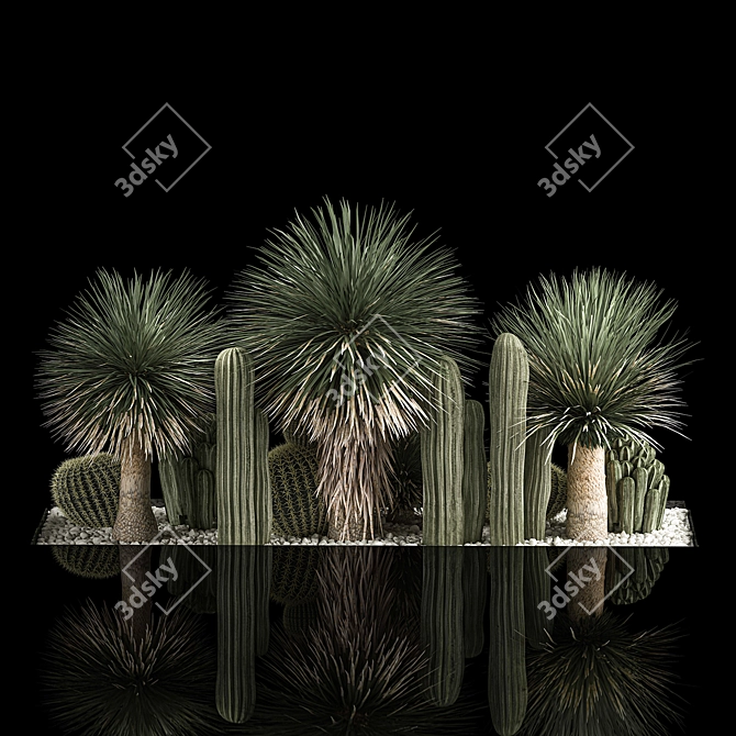 Desert Plant Set for Landscaping with Yucca, Dracaena, Cactus 3D model image 5