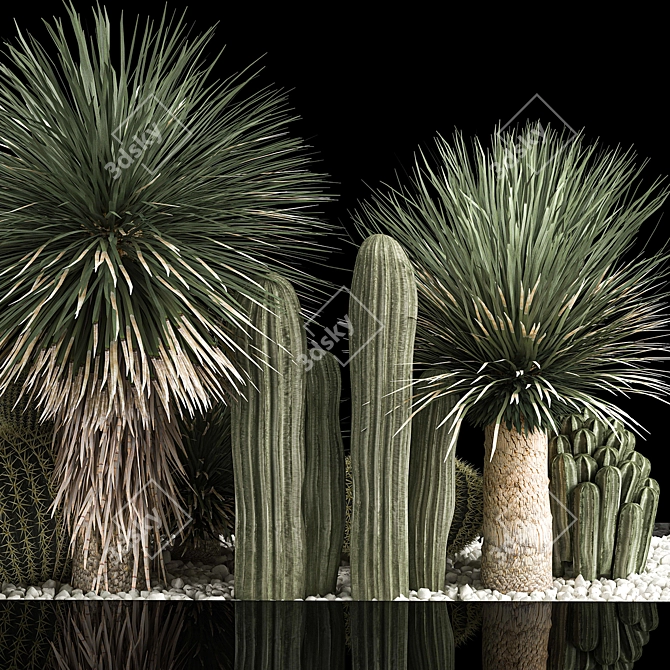 Desert Plant Set for Landscaping with Yucca, Dracaena, Cactus 3D model image 6