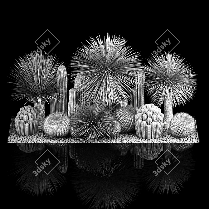 Desert Plant Set for Landscaping with Yucca, Dracaena, Cactus 3D model image 7