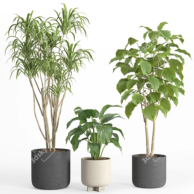 PBR-Compatible Indoor Plant Collection 3D model image 1