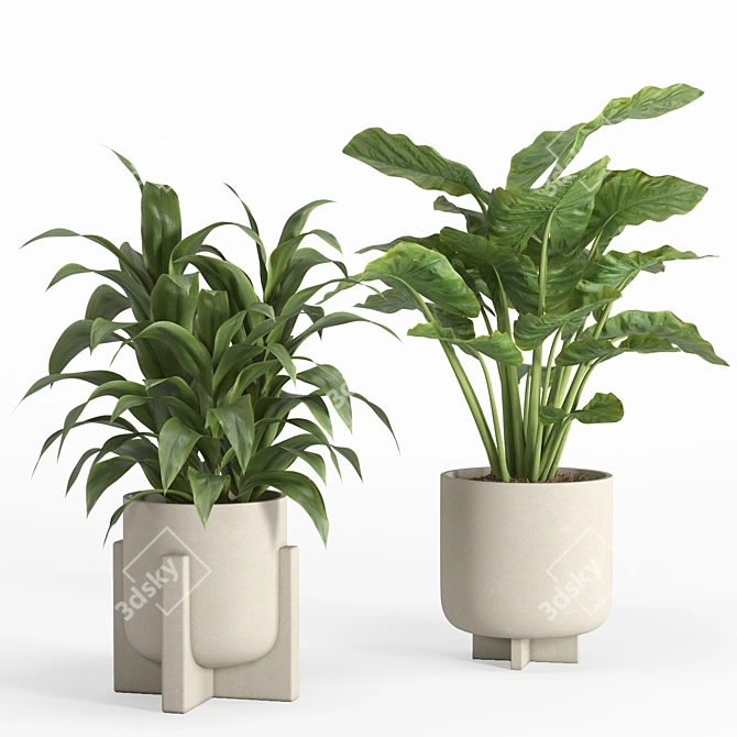 PBR-Compatible Indoor Plant Collection 3D model image 2