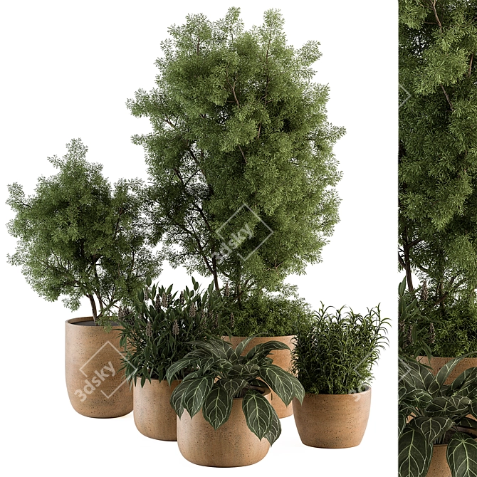 Earthen Pot Plant Set 419 3D model image 1