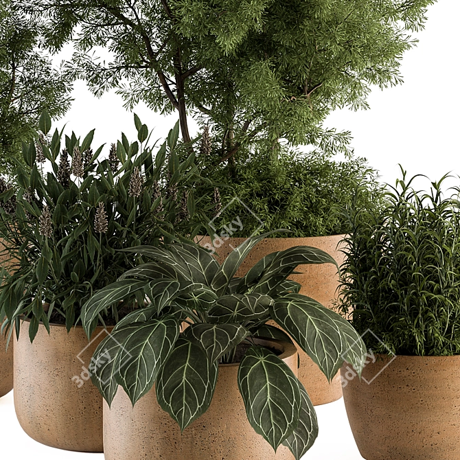 Earthen Pot Plant Set 419 3D model image 2