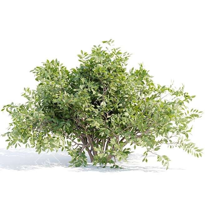 Bushes #4 Volume 110 Collection 3D model image 3