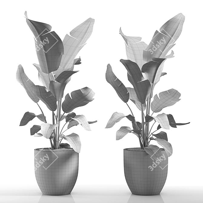 Strelitzia Vase 3D model image 2