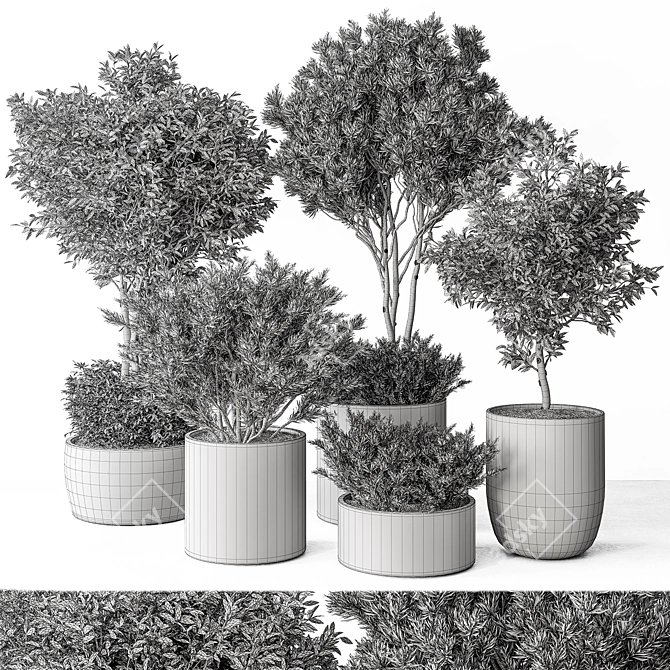 Foliage Duo Set - Potted Verdure 3D model image 5