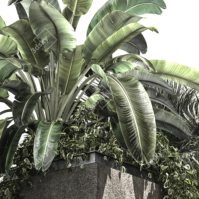 Tropical Plant Concrete Planter V2 3D model image 5