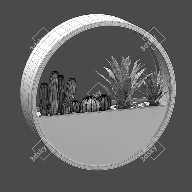 Round Wall-mounted Florarium 3D model image 5