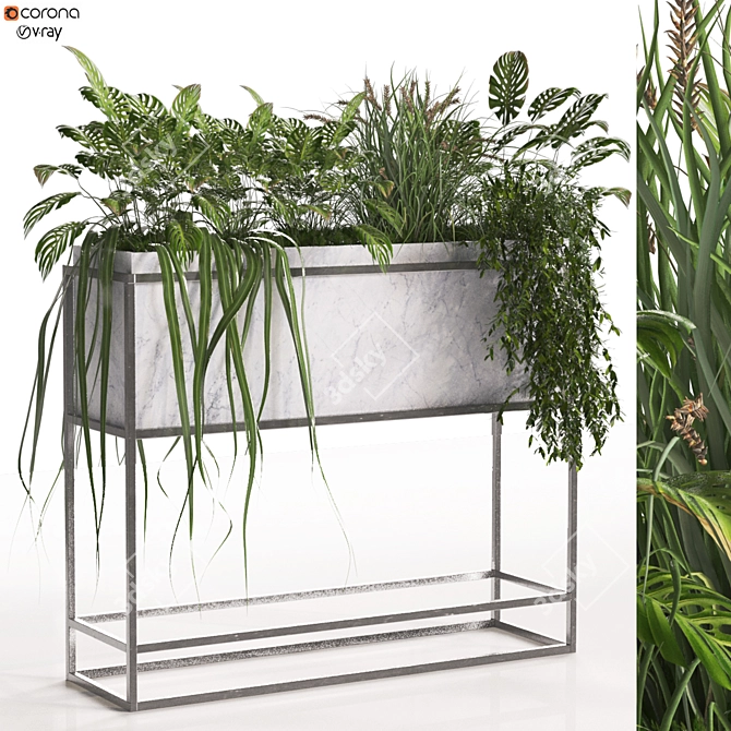 Cozy Green Boxed Home Plant 3D model image 1