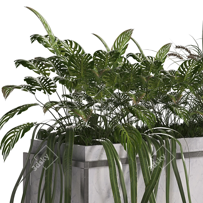 Cozy Green Boxed Home Plant 3D model image 4