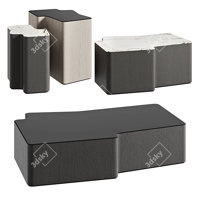 Modern Minotti Coffee Tables LOU 3D model image 1