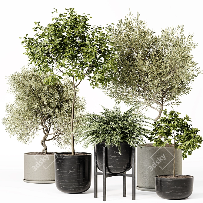 High-Quality Indoor Plant Set 3D model image 1