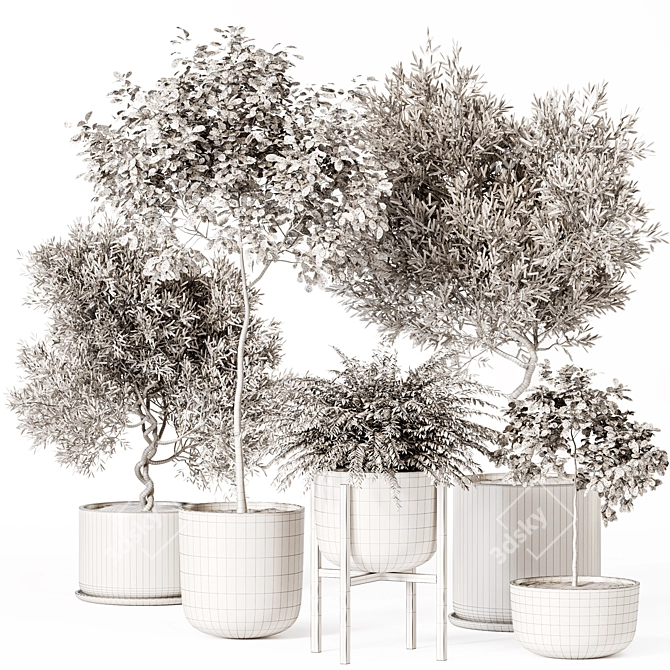 High-Quality Indoor Plant Set 3D model image 5