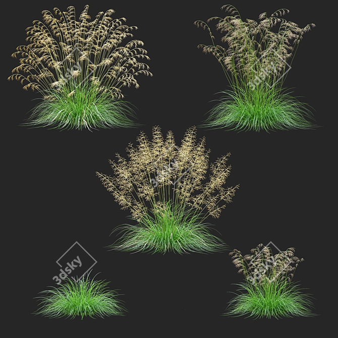 Dense Meadow Grass Collection 3D model image 2