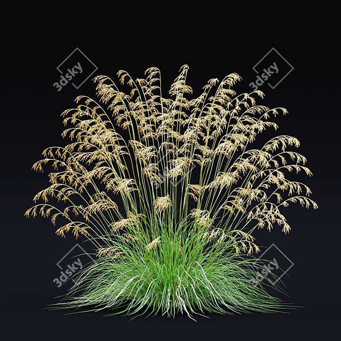 Dense Meadow Grass Collection 3D model image 4