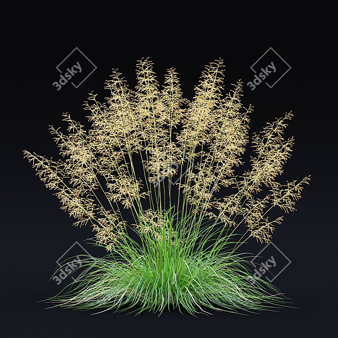 Dense Meadow Grass Collection 3D model image 6