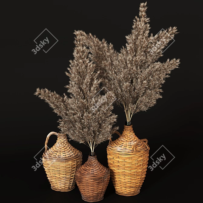 Pampas Grass in Woven Bottles 3D model image 1