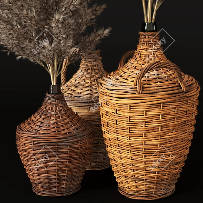 Pampas Grass in Woven Bottles 3D model image 2