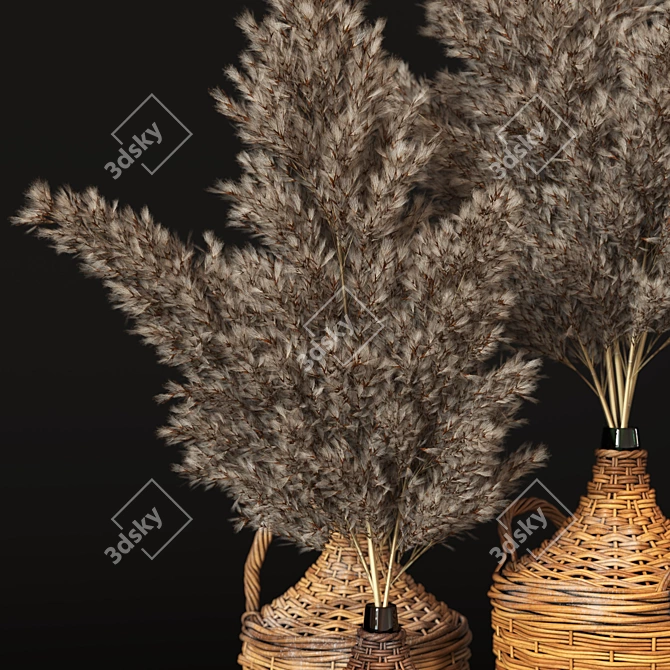 Pampas Grass in Woven Bottles 3D model image 3