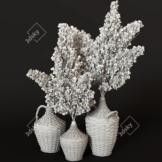 Pampas Grass in Woven Bottles 3D model image 4