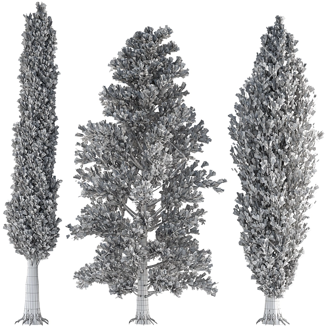 Outdoor Pine Tree Trio 3D model image 6