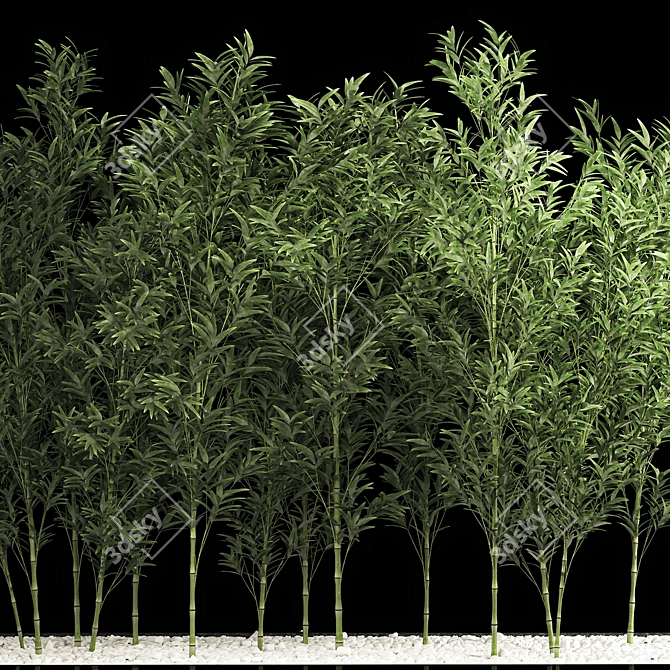 Tropical Bamboo Cluster Garden Decor 3D model image 4