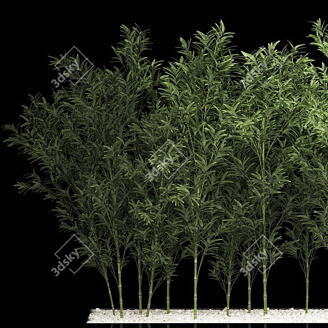 Tropical Bamboo Cluster Garden Decor 3D model image 5