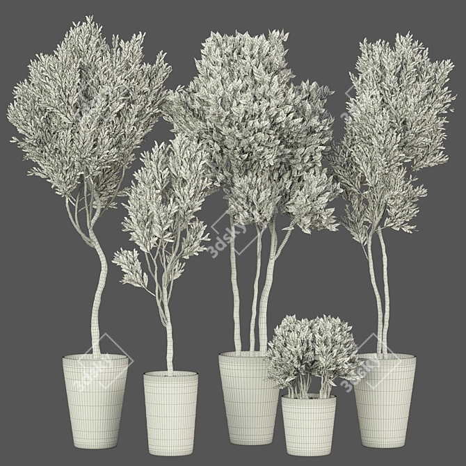 Outdoor Plant Set 54: Rendered Landscaping 3D model image 3