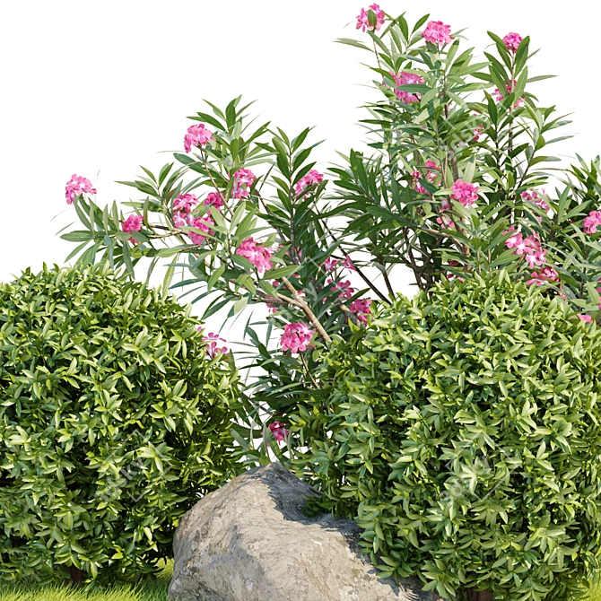  Premium Laurel Hedging Bushes 3D Model 3D model image 4