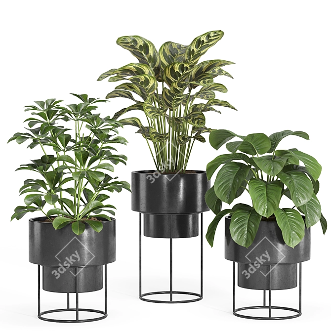 Modern Indoor Plant Set 028 3D model image 2