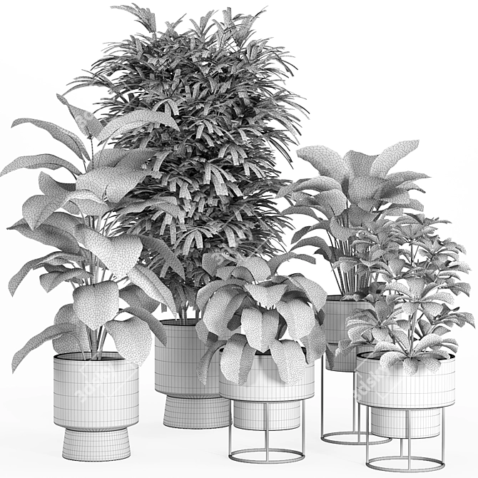 Modern Indoor Plant Set 028 3D model image 3