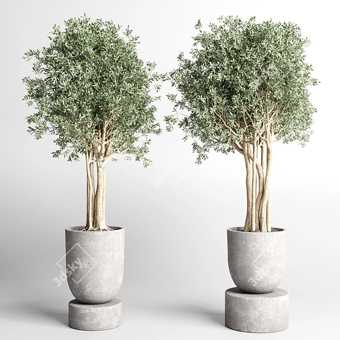 252 Plant Tree Vase Collection 3D model image 6