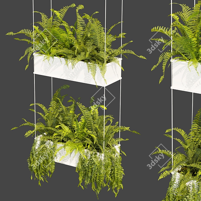 Fern Leaf Hanging 3D Model 3D model image 1