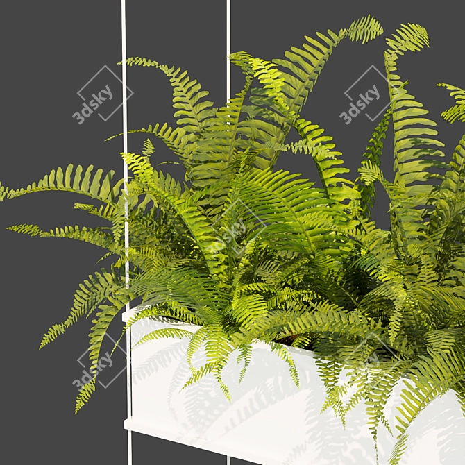 Fern Leaf Hanging 3D Model 3D model image 2