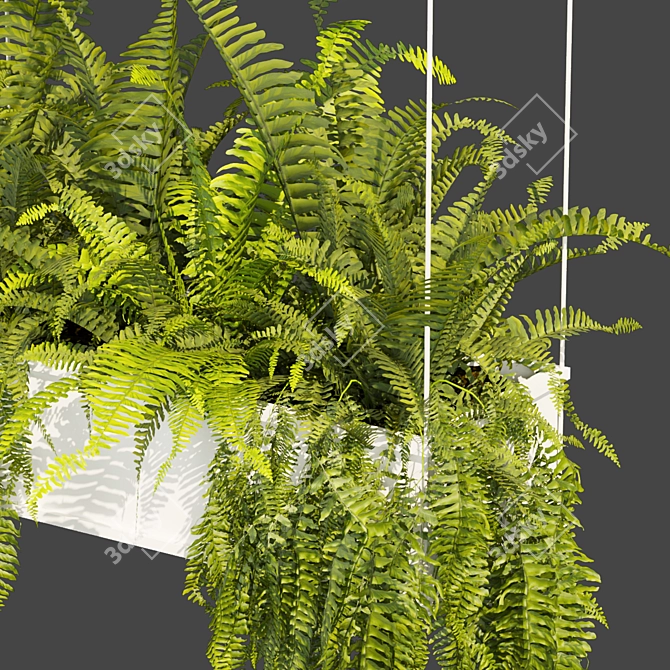 Fern Leaf Hanging 3D Model 3D model image 3