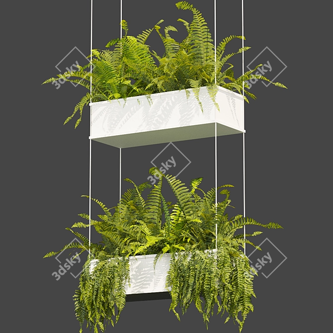 Fern Leaf Hanging 3D Model 3D model image 4