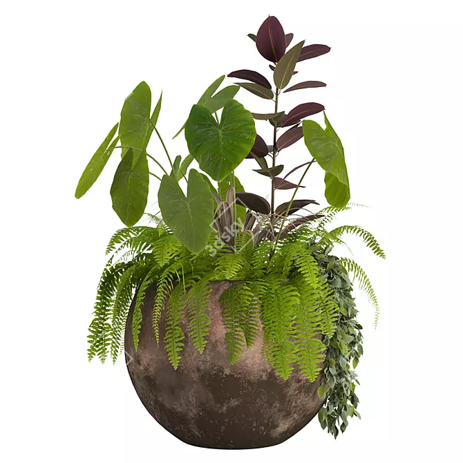  2013 Outdoor Plants Set display 3D model image 2