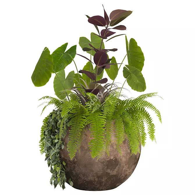  2013 Outdoor Plants Set display 3D model image 3