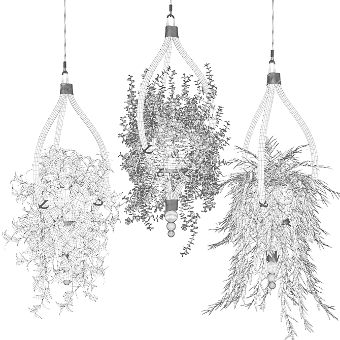 Ethnic Bamboo Hanging Plants 3D model image 2