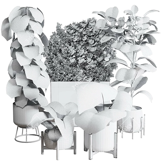 Urban Jungle Collection: Ficus Monstera Palm 3D model image 5