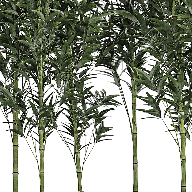 Unique product title: Bamboo Groves for Outdoor and Interior 3D model image 4