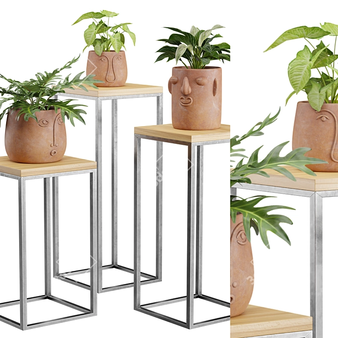 Exotic Facepot Plants Set with Stand 3D model image 6