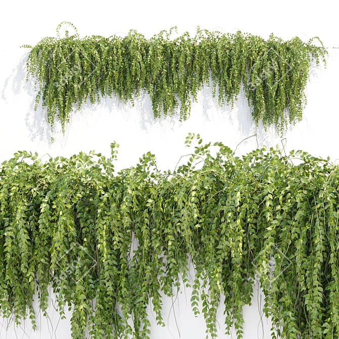 Modern Hanging Wall Plants Collection 3D model image 1