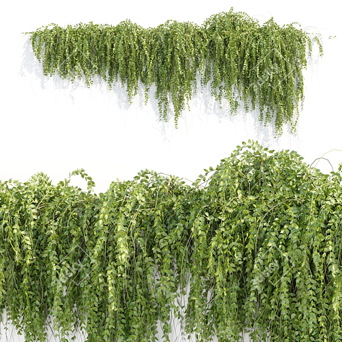 Modern Hanging Wall Plants Collection 3D model image 2