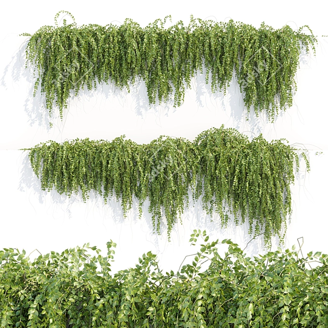 Modern Hanging Wall Plants Collection 3D model image 5