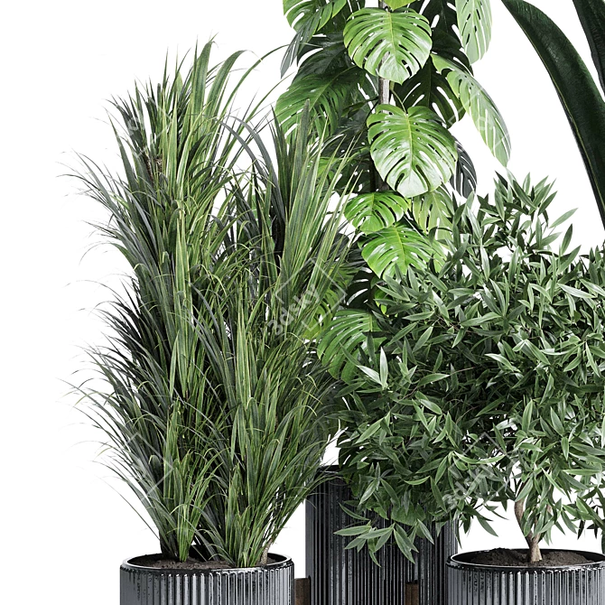 Modern Indoor Plant Collection Set 3D model image 2