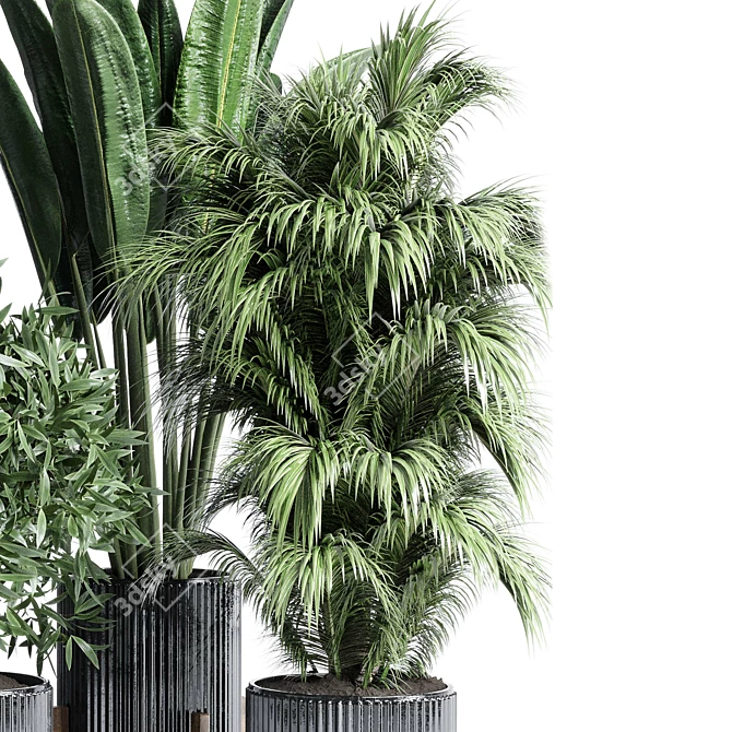 Modern Indoor Plant Collection Set 3D model image 4