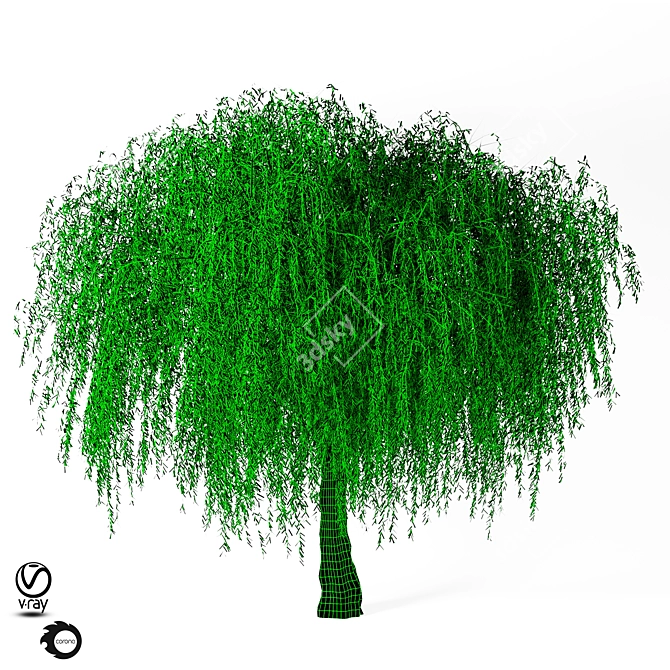 Giant Tree Model - 1150cm 3D model image 3