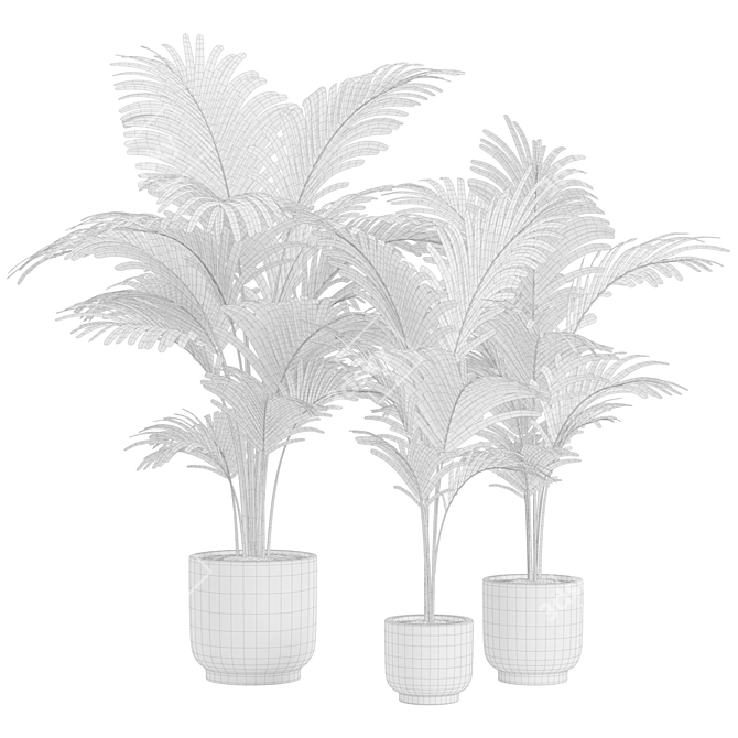 Golden Cane Palm Set 3D model image 3